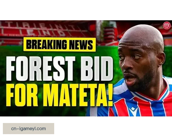 拆家进行时马特塔欲别水晶宫