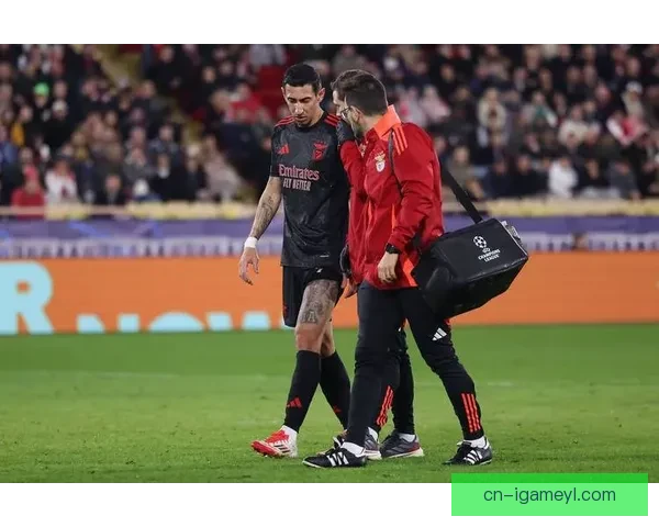 迪马利亚难选本菲卡与皇马之间